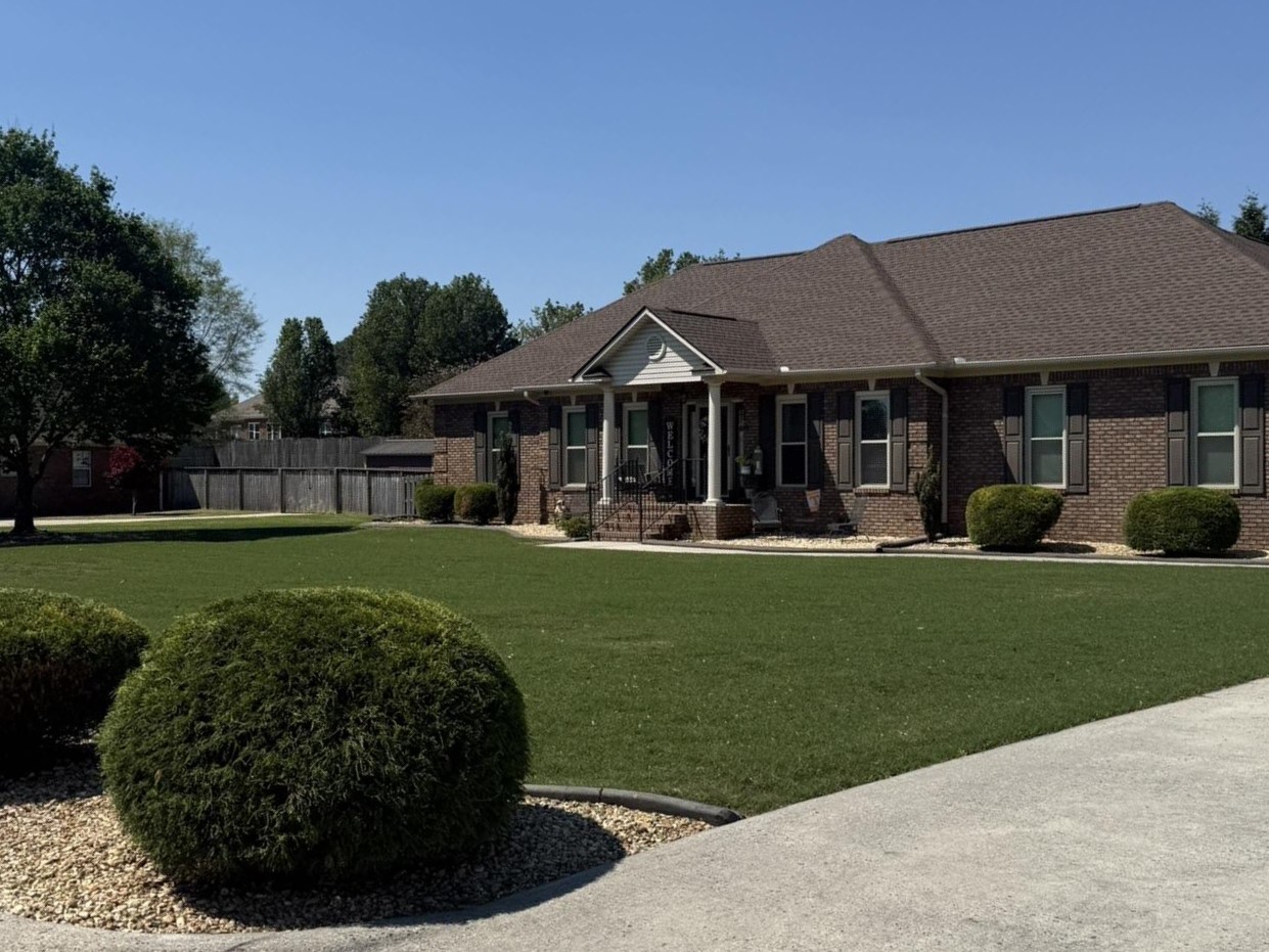 Professional landscaping and lawn care service